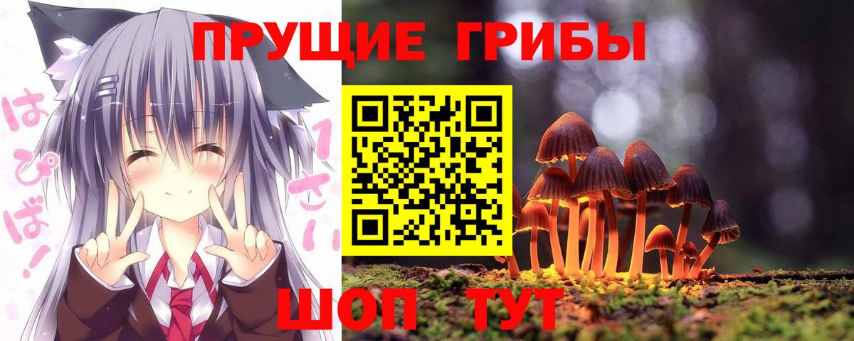 Галлюциногенные грибы Magic Shrooms Зима