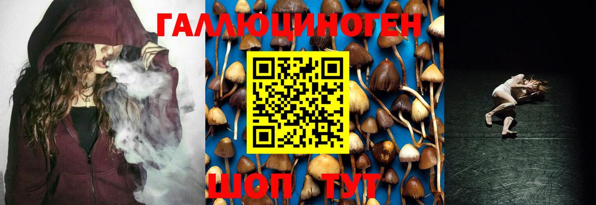 Галлюциногенные грибы GOLDEN TEACHER  Псилоцибиновые грибы Cubensis  Вход с VPN  Зима 